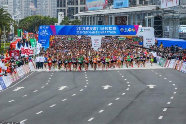 少儿体育培训场地设计的重要性与常见误区(图1)